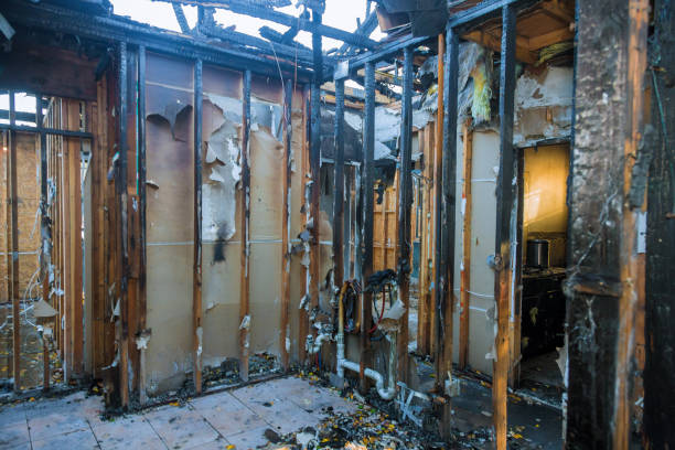 Professional Fire Damage Removal technician working in Parma, ID